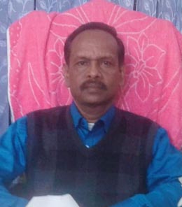 image-here